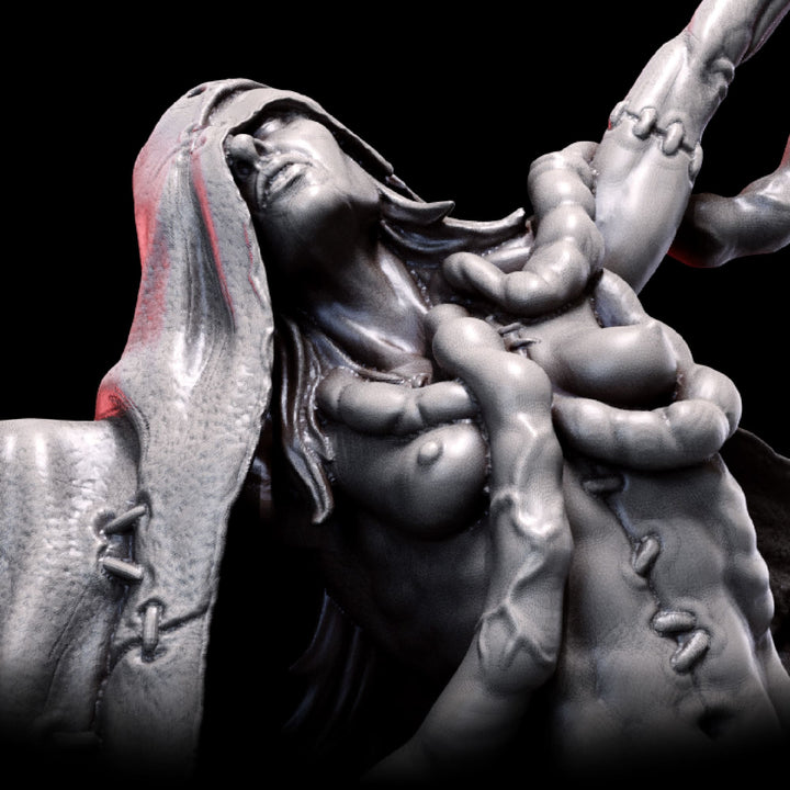 The Haruspex | The Anatomists