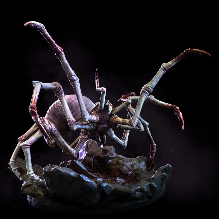 Cave Spiders | The Remade