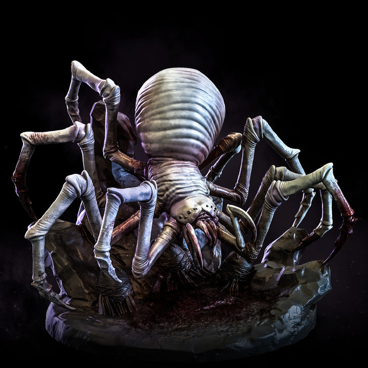 Cave Spiders | The Remade