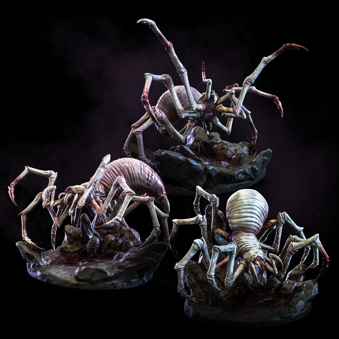 Cave Spiders | The Remade