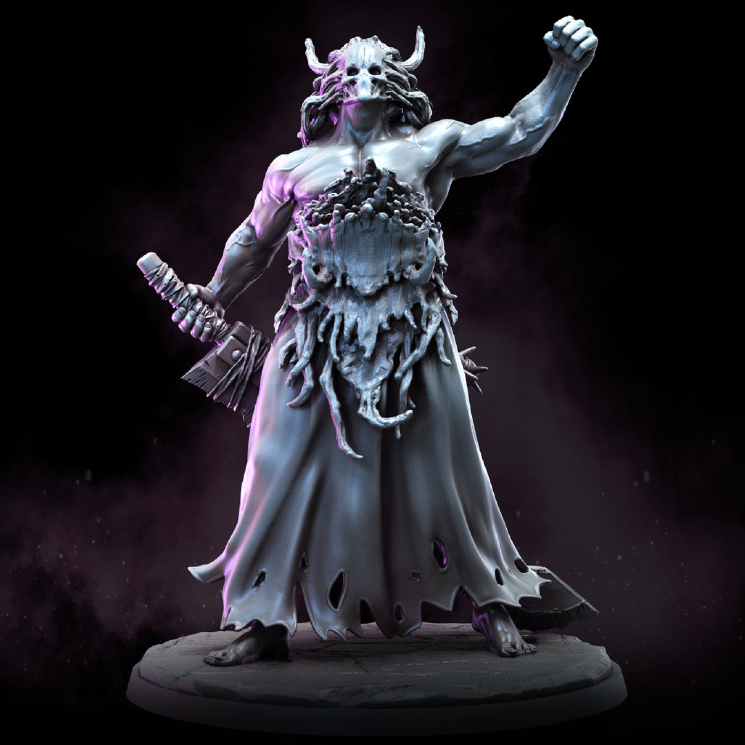 Royal Guard Remade Elf | STL | The Remade