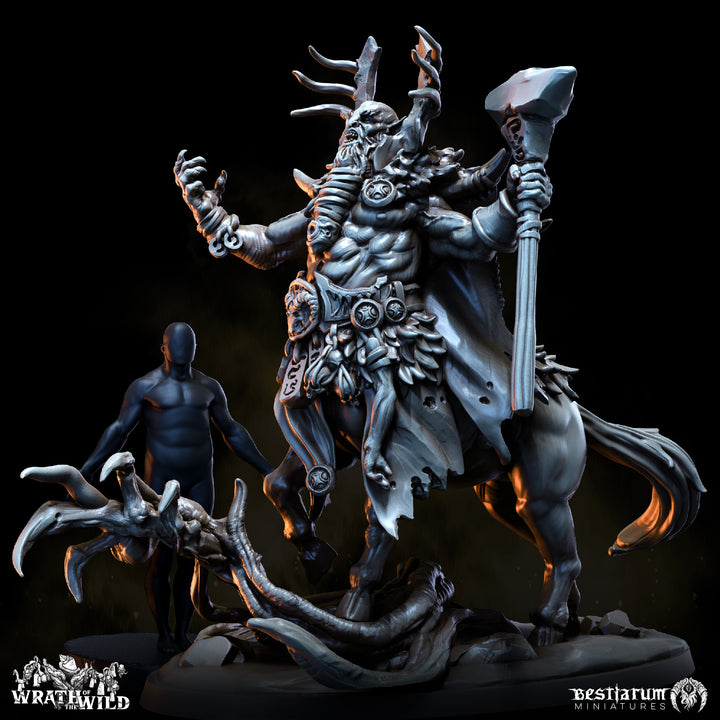 Centaur Warband Set | Wrath of the Wild