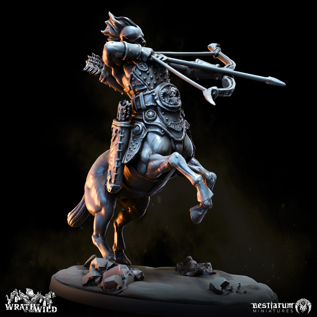Centaur Warband Set | Wrath of the Wild