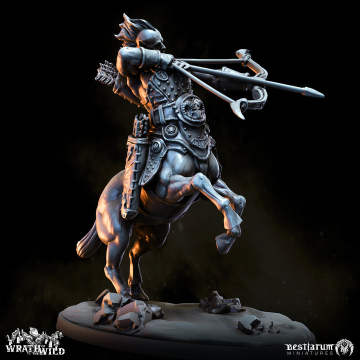 Centaur Warband Set | Wrath of the Wild