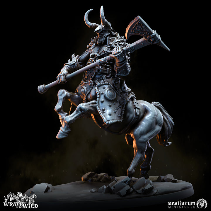Centaur Warband Set | Wrath of the Wild