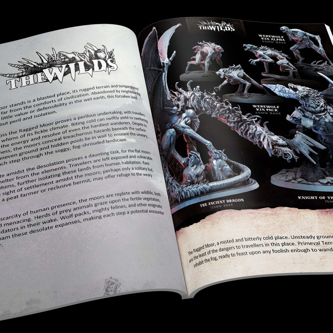 The Wilds Part 2 (Ragged Moor) - Faction Pack | RPG