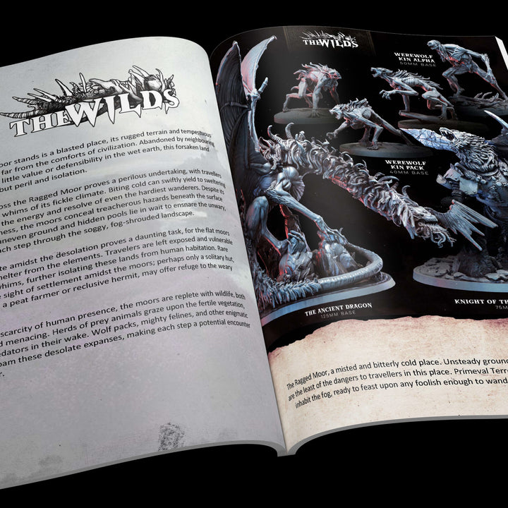 The Wilds Part 2 (Ragged Moor) - Faction Pack | RPG