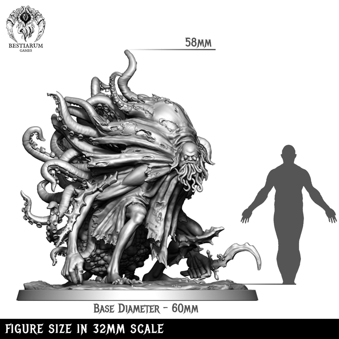 Wormhost | STL | The N&